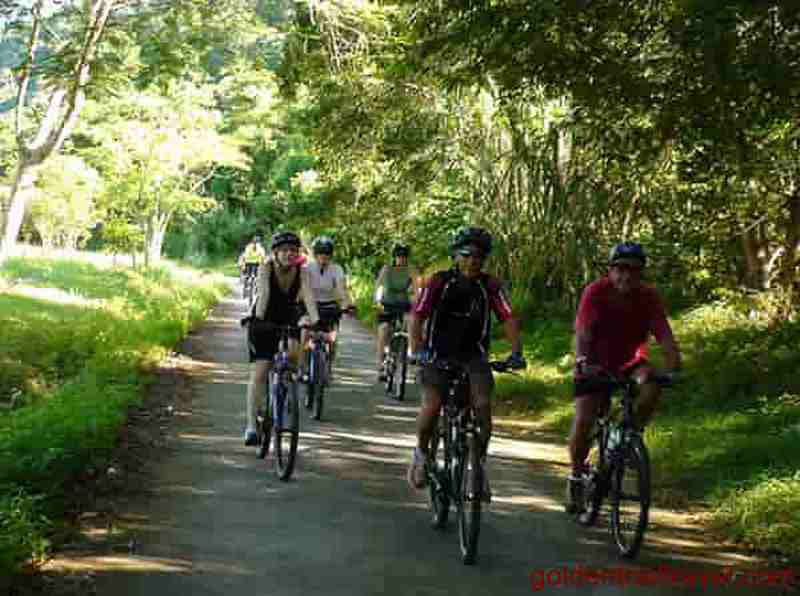 Cycling Tours in National Parks and Nature Reserves 7 Days